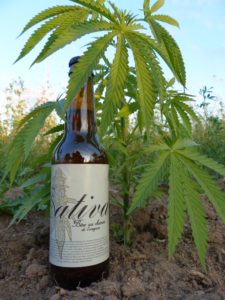 Sativa bière au chanvre